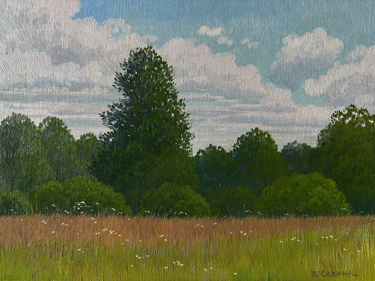 VINTAGE ORIGINAL PAINTING, oil painting, vintage realism, modern painting, impressionism, landscape, Sunny day, 2016, artist V. Savenets