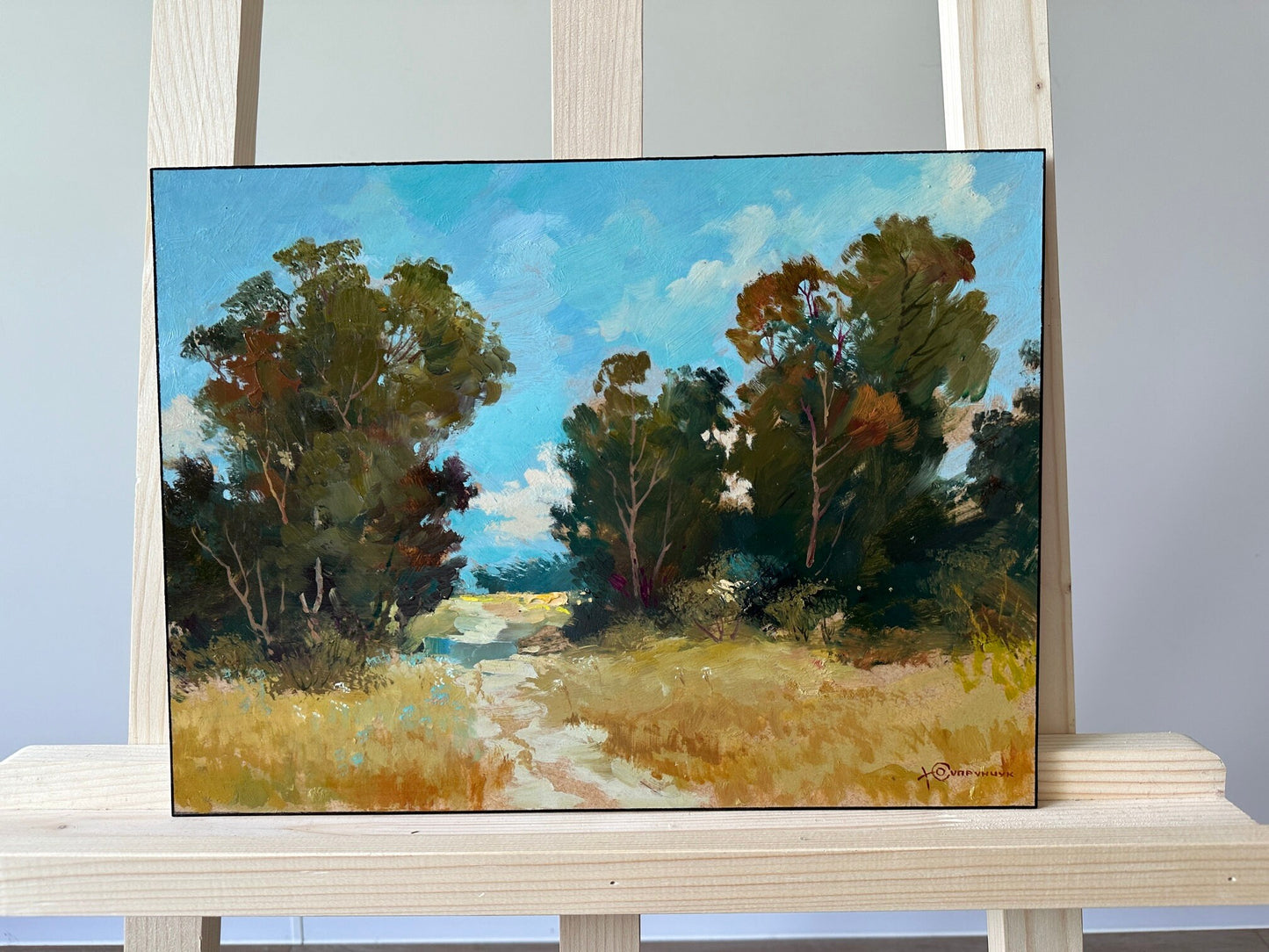 ORIGINAL PAINTING, modern painting, oil painting, impressionism, landscape, rural landscape, Path to the river, artist Y. Suprunchuk