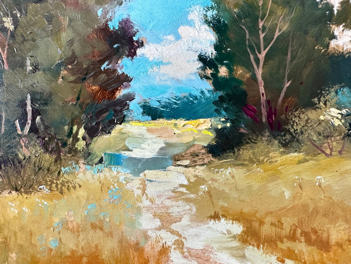 ORIGINAL PAINTING, modern painting, oil painting, impressionism, landscape, rural landscape, Path to the river, artist Y. Suprunchuk