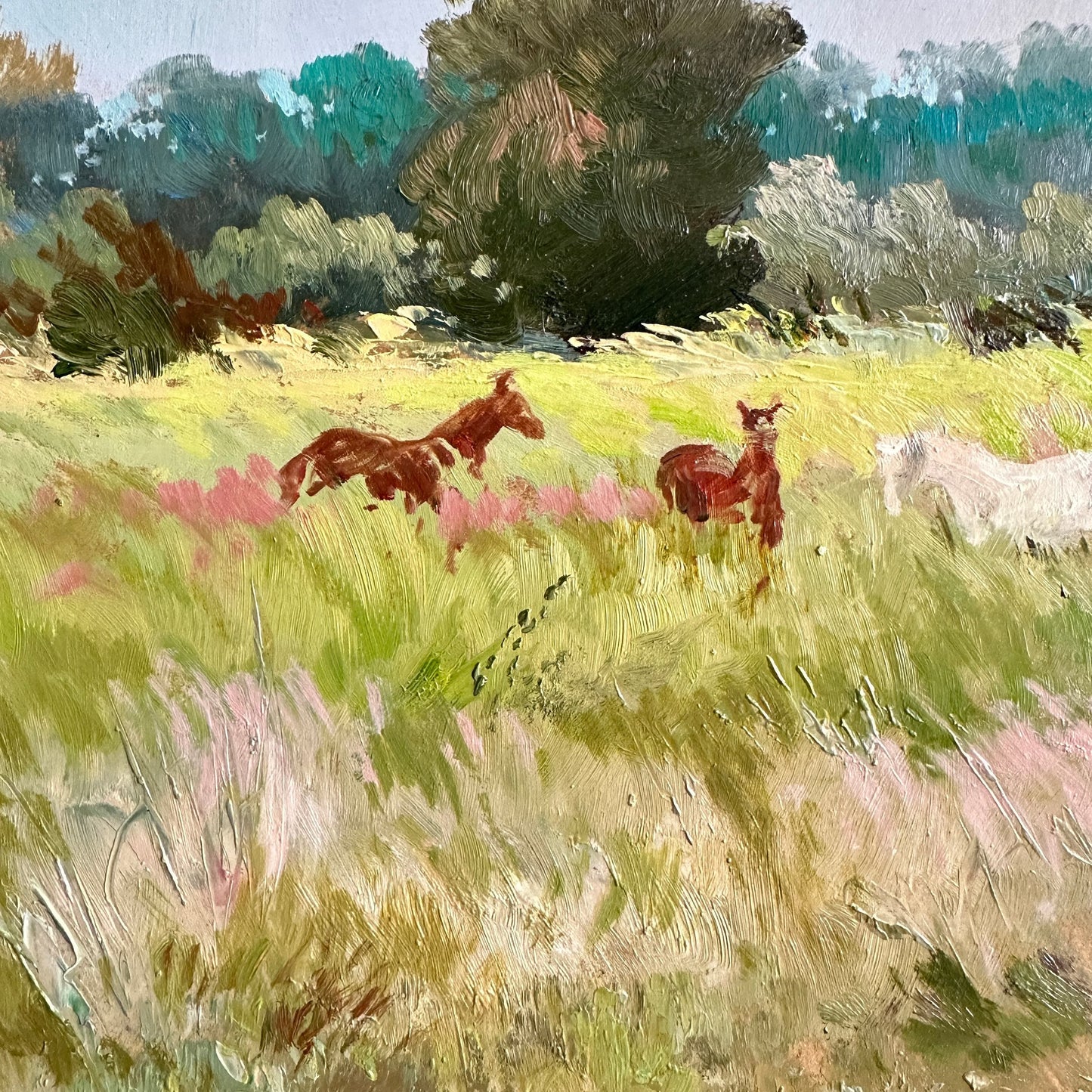 ORIGINAL PAINTING, modern painting, oil painting, impressionism, landscape, rural landscape, Horses, On the pasture, artist Yu. Suprunchuk